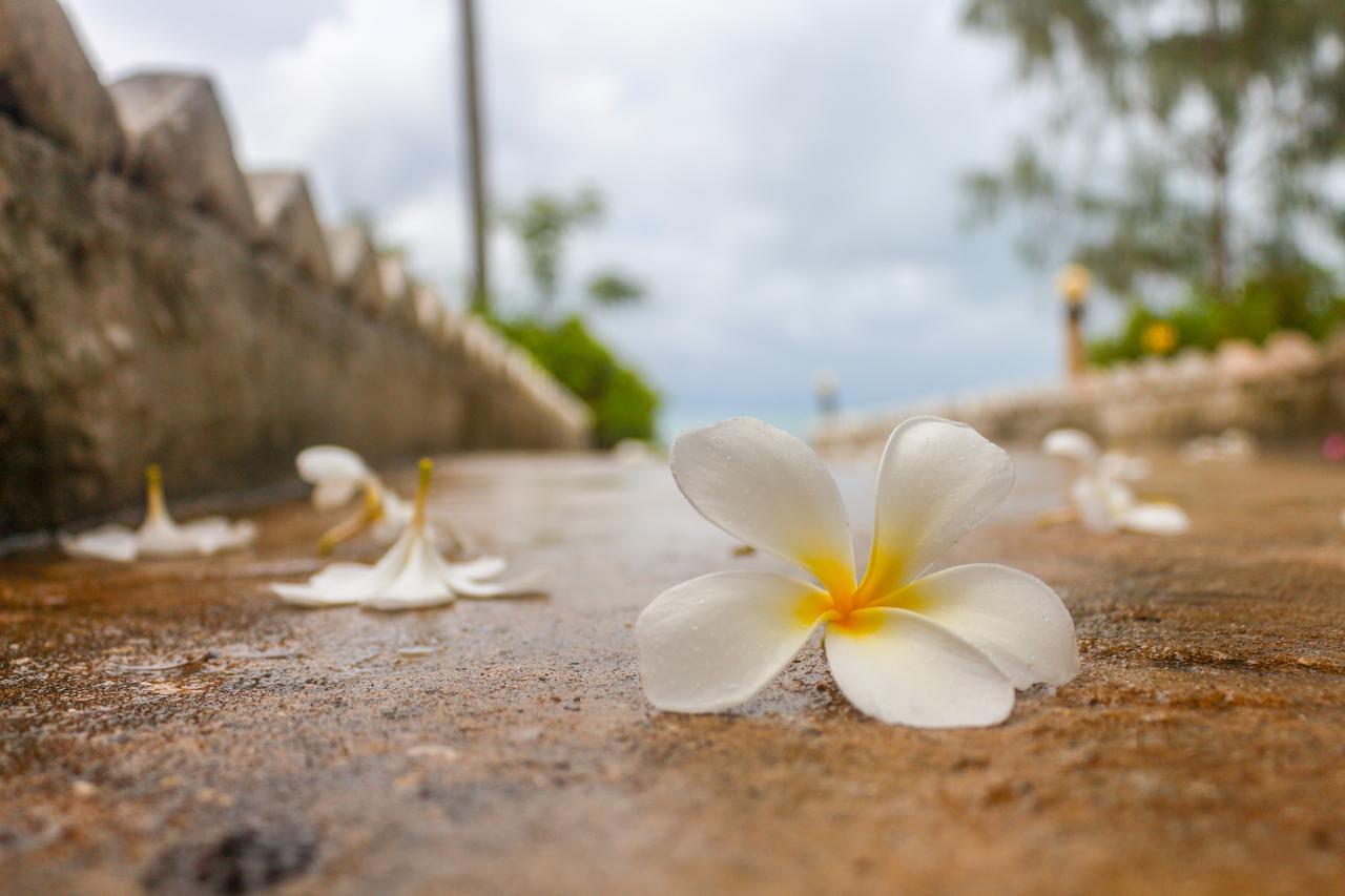 Mermaids Cove Beach Resort & Spa Uroa Exterior photo